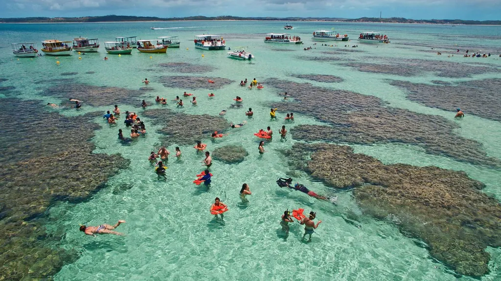 MACEIÓ 2025