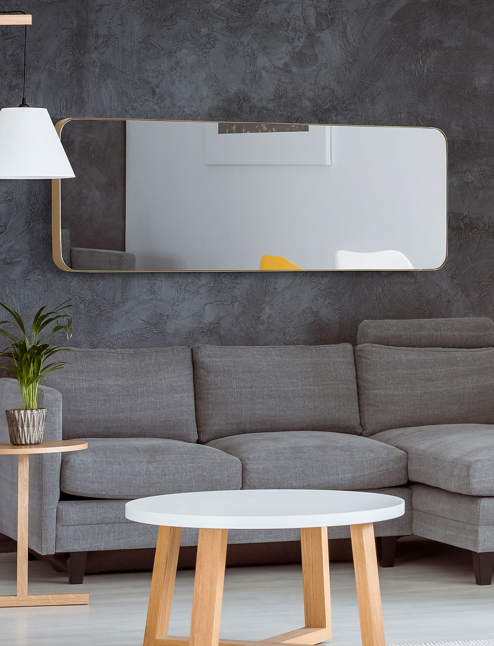 Thumbnail: Space Ex 65"x22" High Quality Aluminum Frame Mirror
