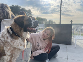 Potrzeby psów domowych (Canis familiaris)