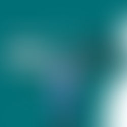 Healthcare organization between Patient Experience and Patient Satisfaction?