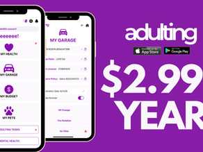 Why Get Adulting is Changing Its Price for Our One Year Anniversary