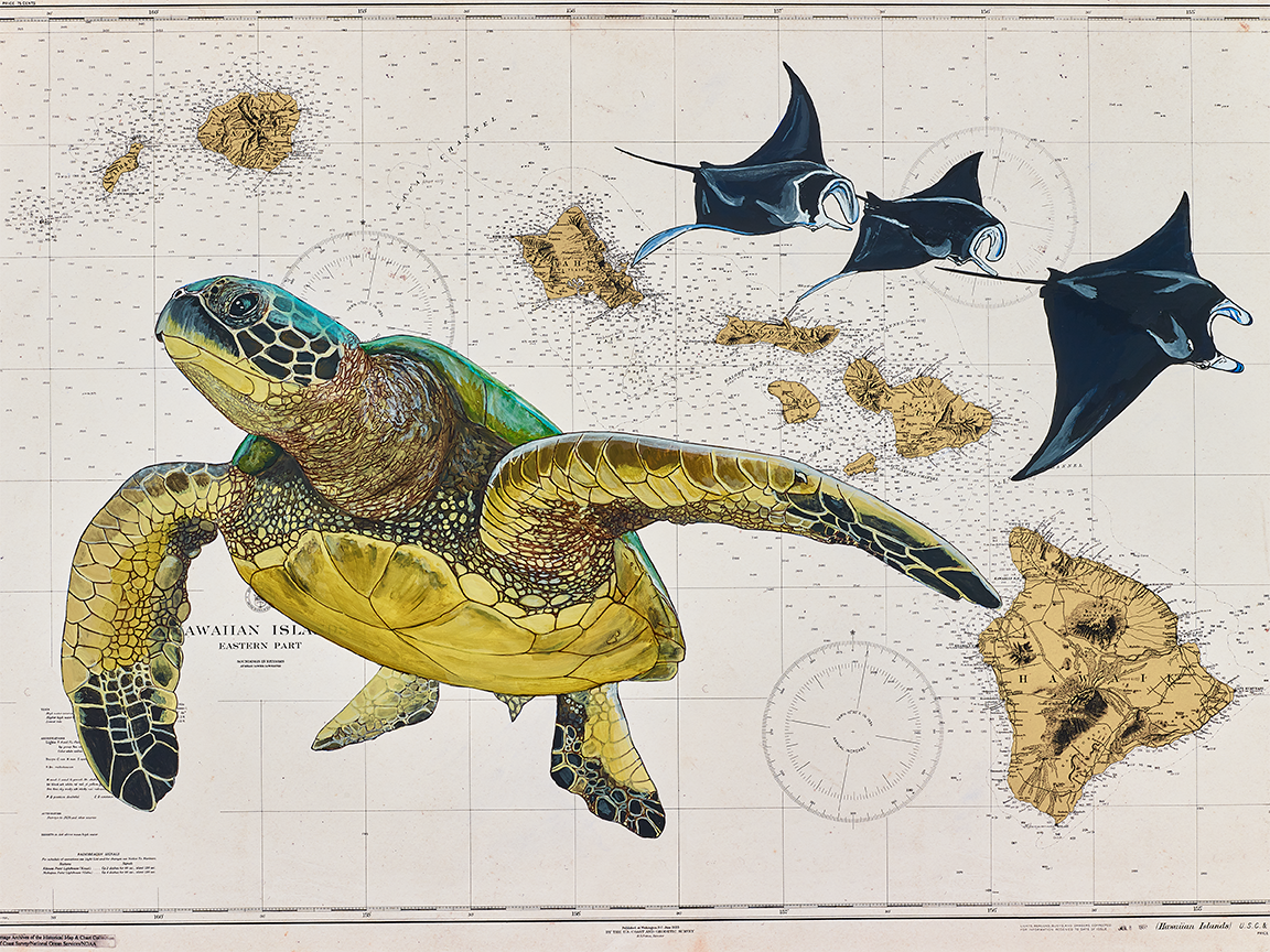 Hani the Honu and Friends - Historical Chart July 8th, 1933