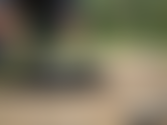 Top-rated Septic System Repair Services in [Specific Area]