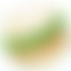 Asian 'Chicken' Burger