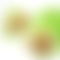 Teriyaki Lettuce Wraps