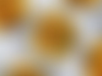 Green Bean Casserole Bites