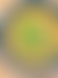 Creamy White Bean Chili