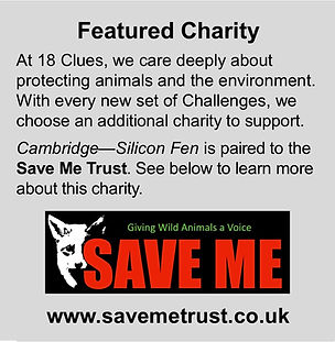 Challenge Chairty.jpg