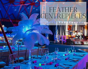 Feather Centrepiece hire in Hertfordshire, Bedfordshire, Buckinghamshire, Essex and London