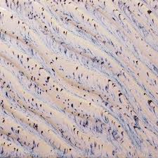 Amaco Flux: Aurora Breeze ceramic glaze fired to Cone 6, white with blue spots like ski slopes