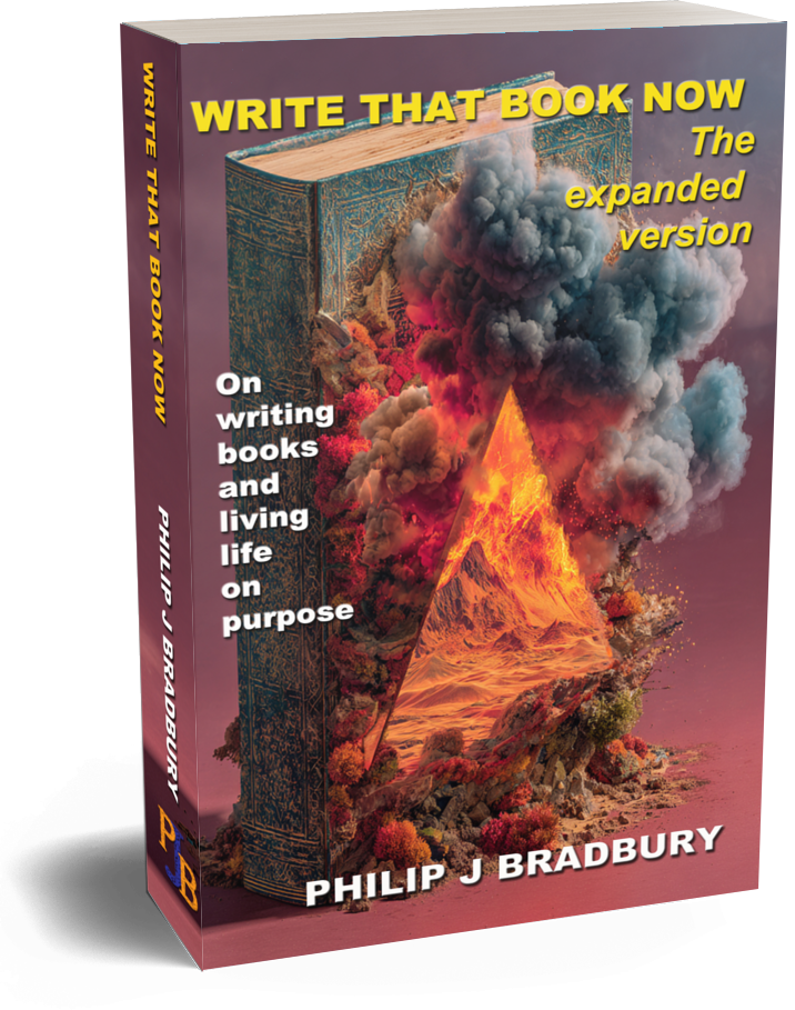 Write That Book Now - paperback