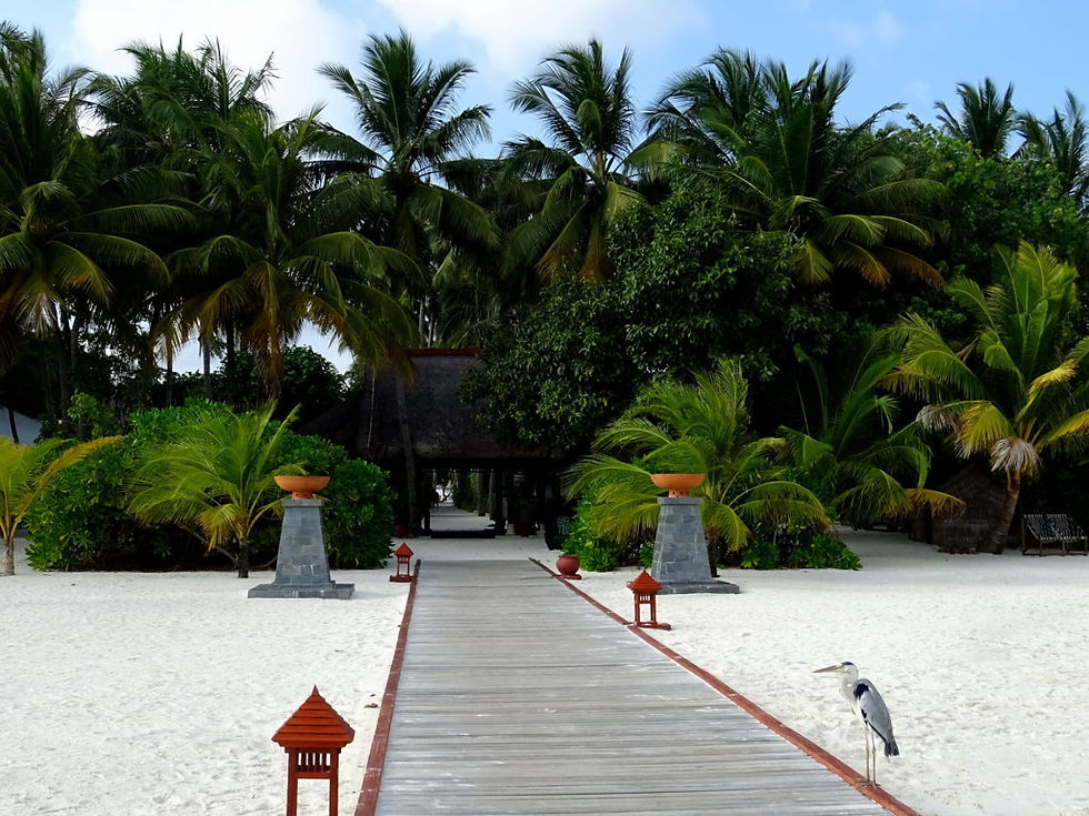 Maldives