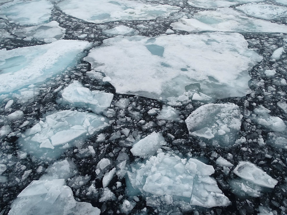 Norway - Svalbard