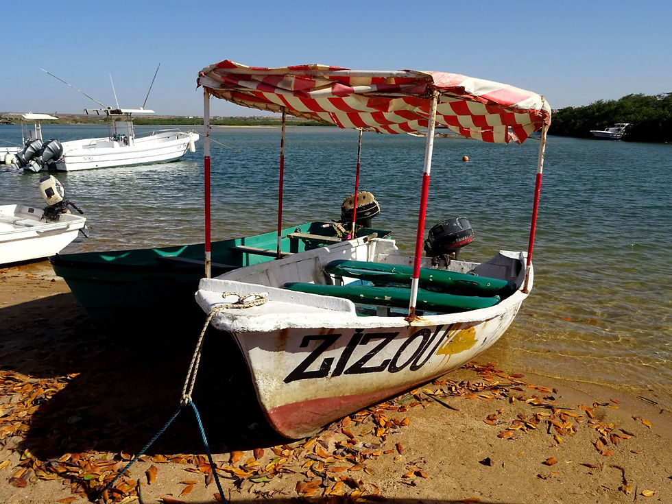Senegal - la Petite Côte