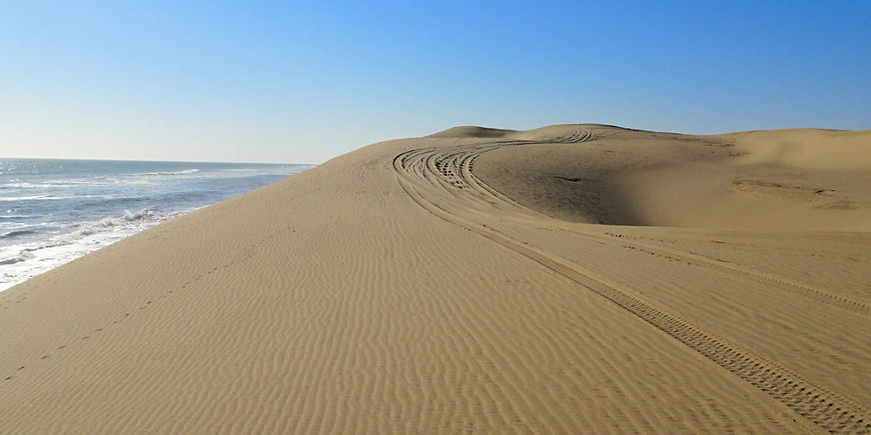 Naukluft Park - Sandwich Bay