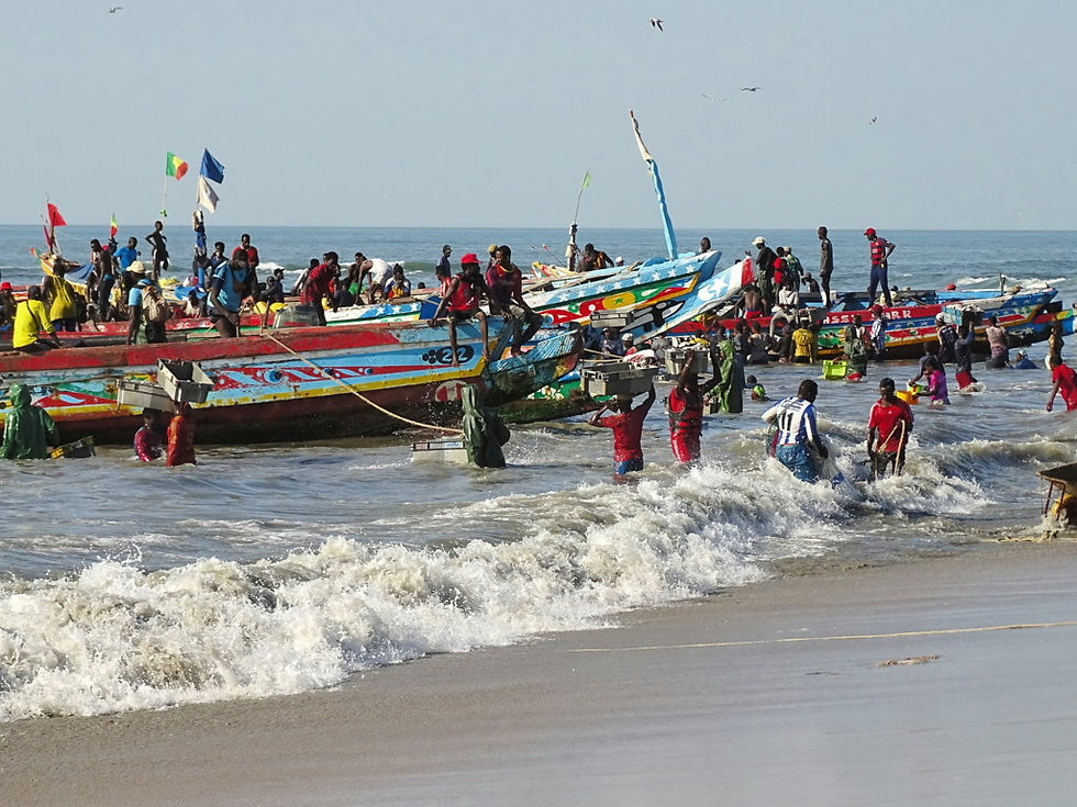 Gambia - around Banjul