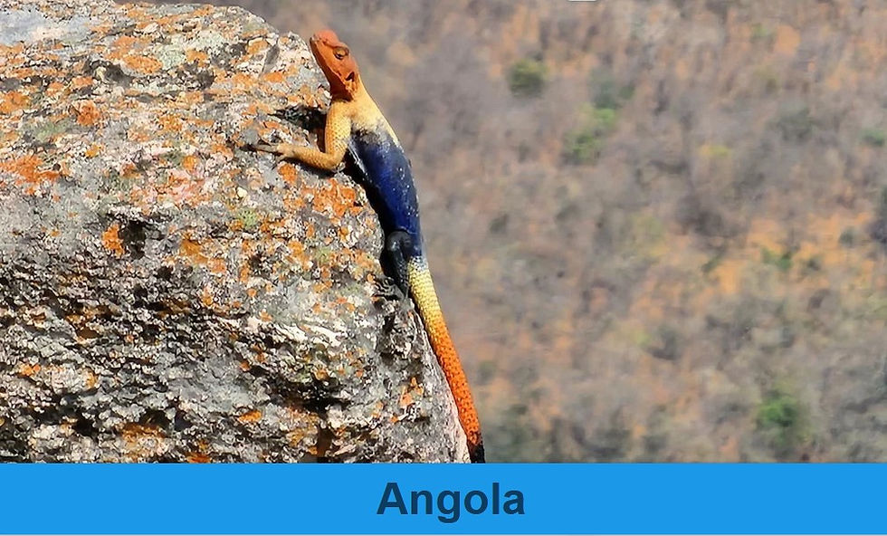 Angola
