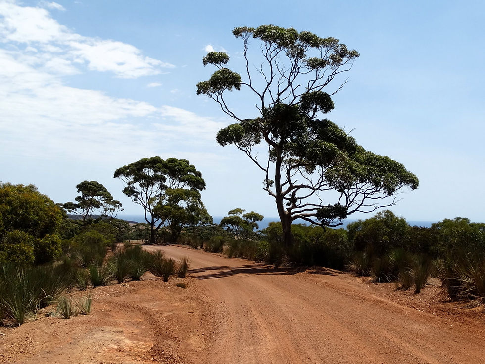 Australia - Kangaroo Island