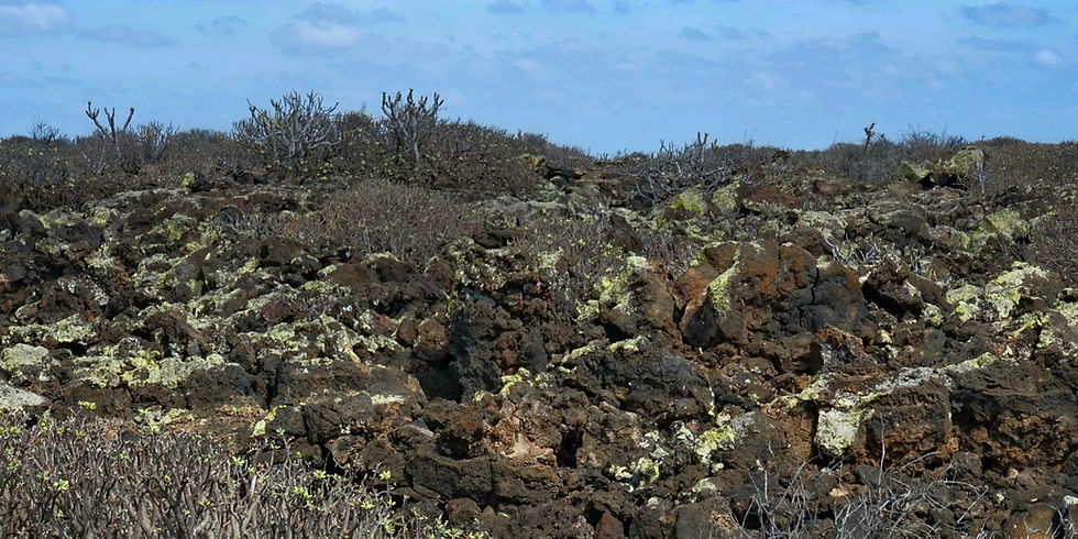Spain - Canary Islands