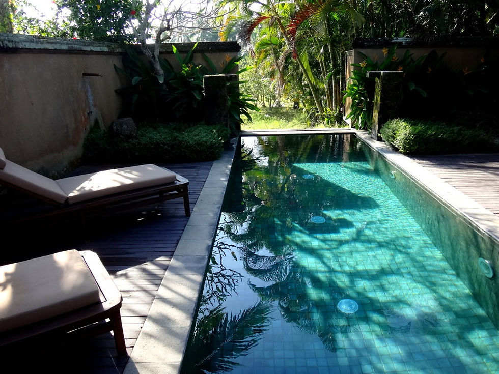 Indonesia - Bali - Ubud