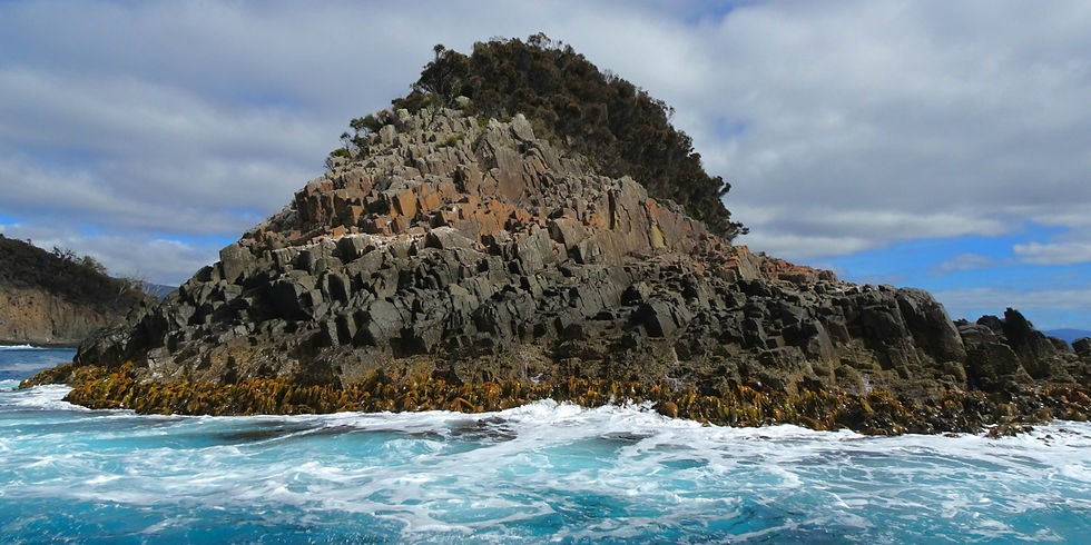 alia - Tasmania - Bruny island