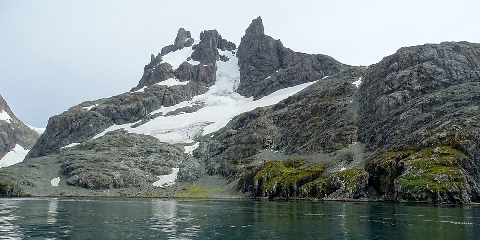 UK - South Georgia81028- Western tip - Fjord - Mountain
