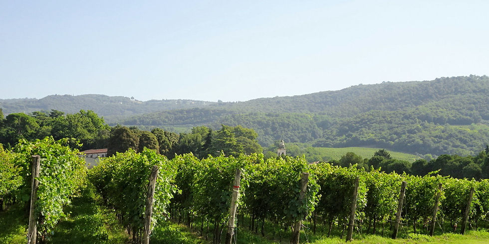 Italy - around Verona