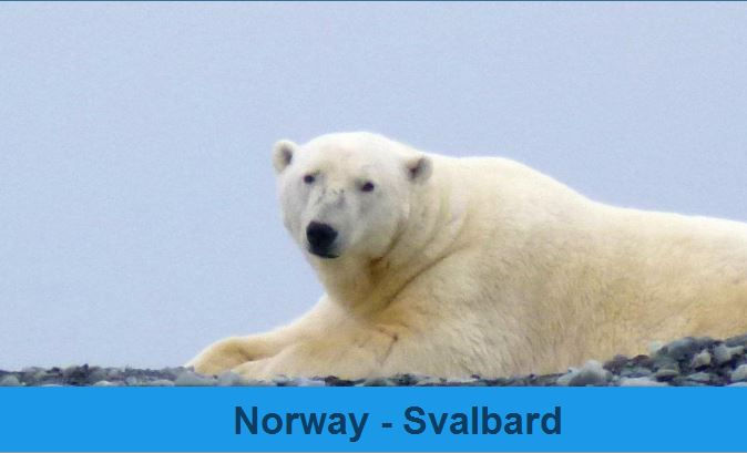 Svalbard  (Norway)