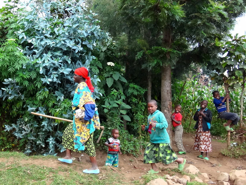 Rwanda - around Ruhengeri