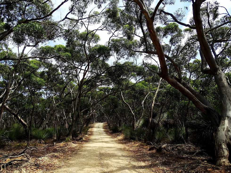 Australia - Kangaroo Island