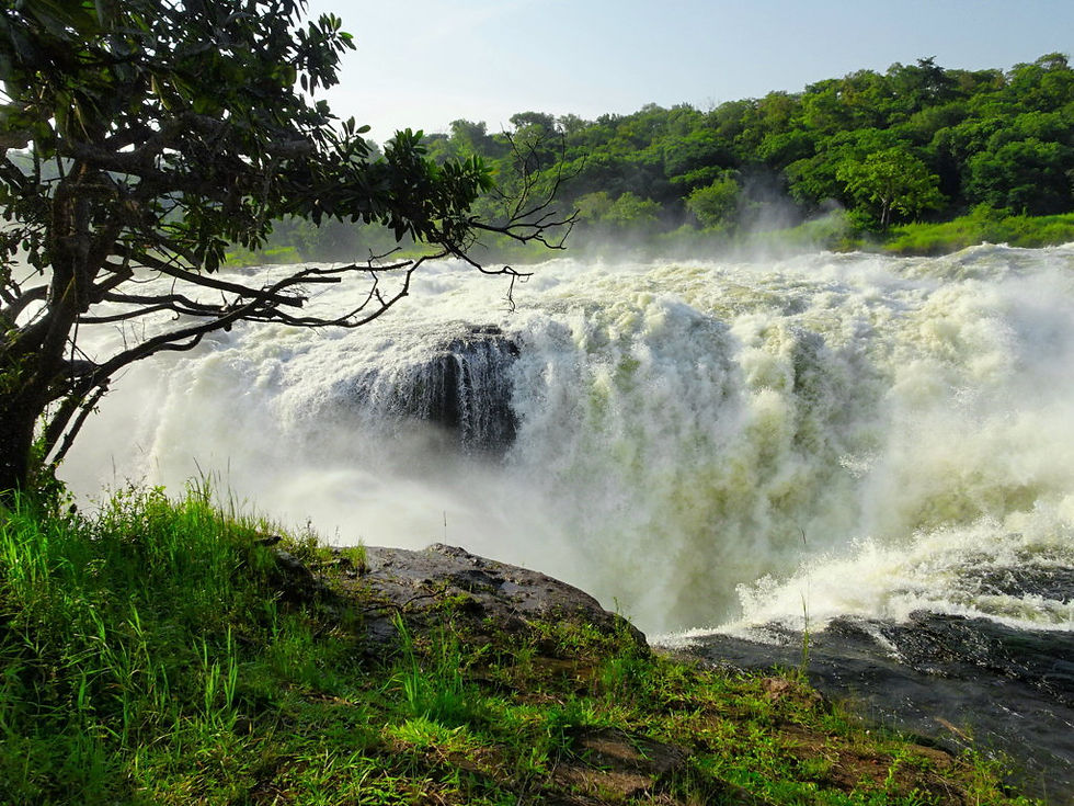 Uganda - Murchison Falls