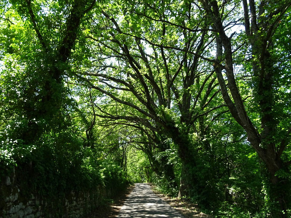 France - Provence - Lubéron