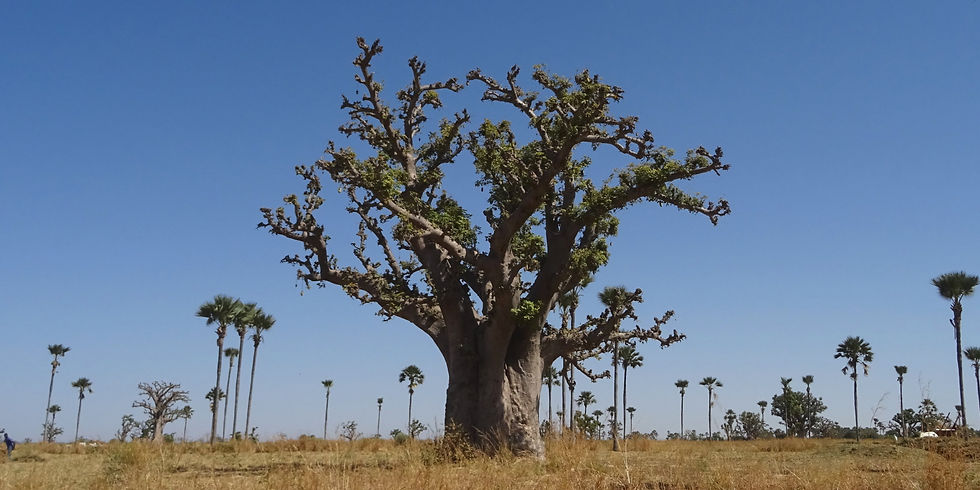 Senegal