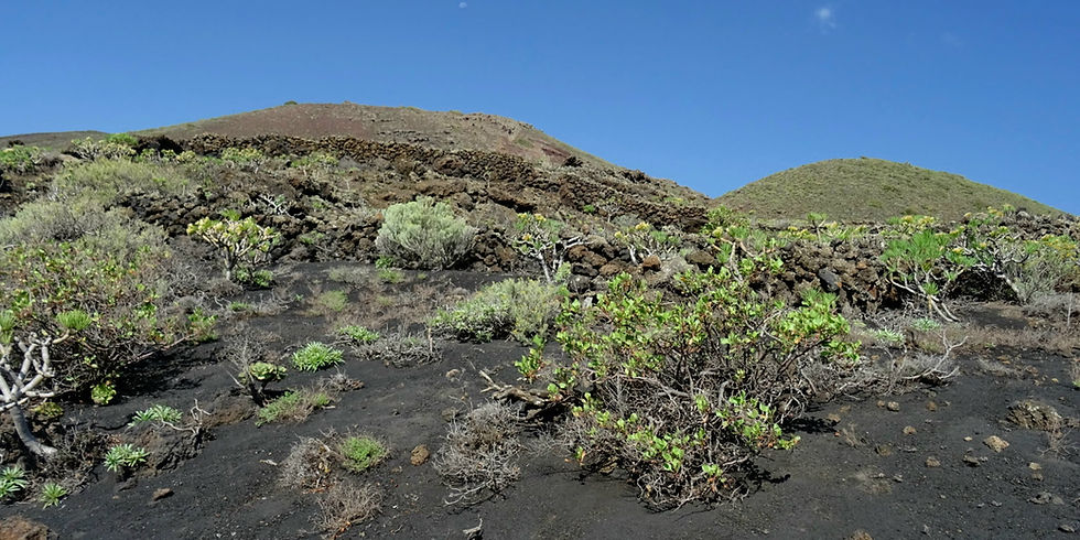 Canarias - La Palma island