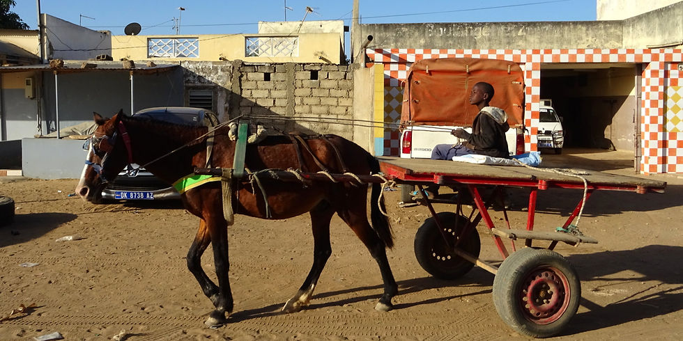 Senegal - la Petite Côte