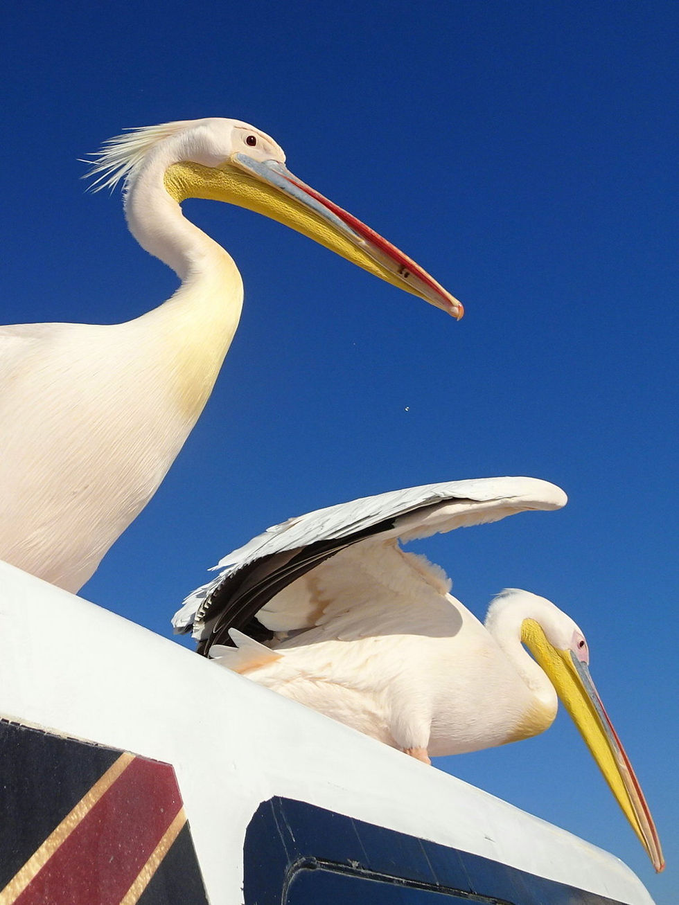 Namibia - Walvis bay