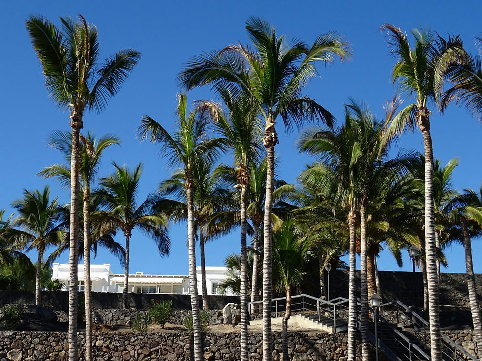 Spain - Canary Islands