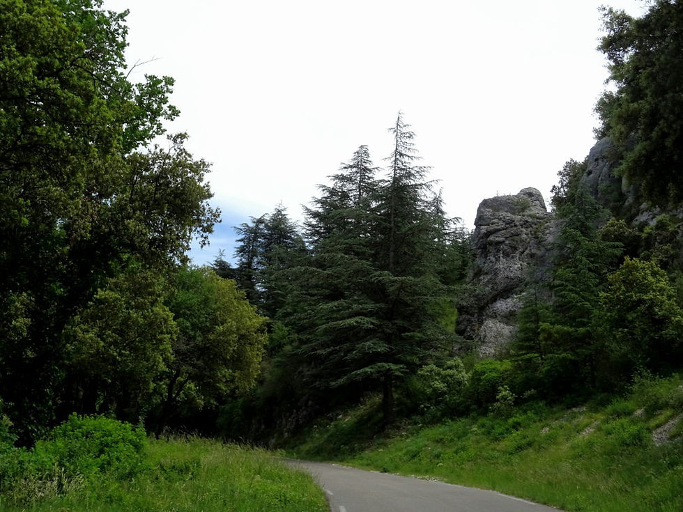 France - Provence - Lubéron