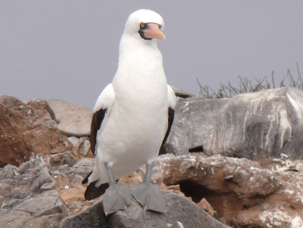 Ecuador - Galapagos Islands