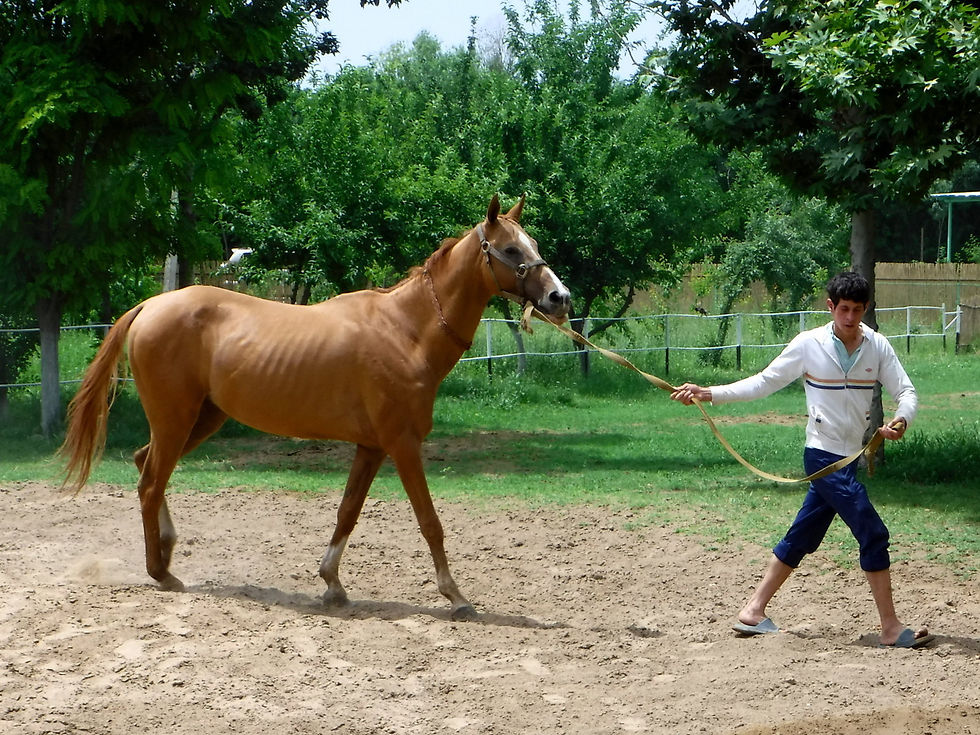 Turkmenistan