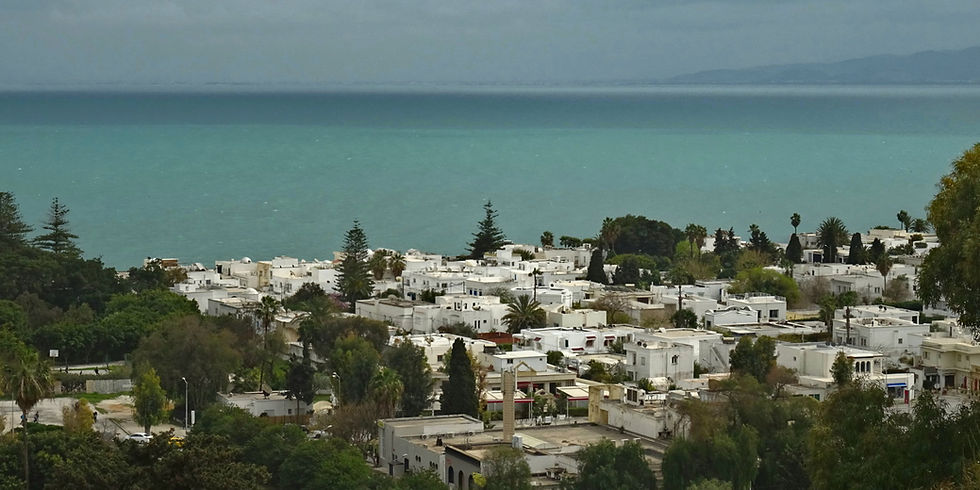 Tunisia - around Tunis