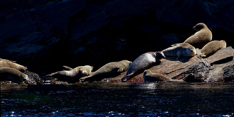 St Pierre and Miquelon (France)