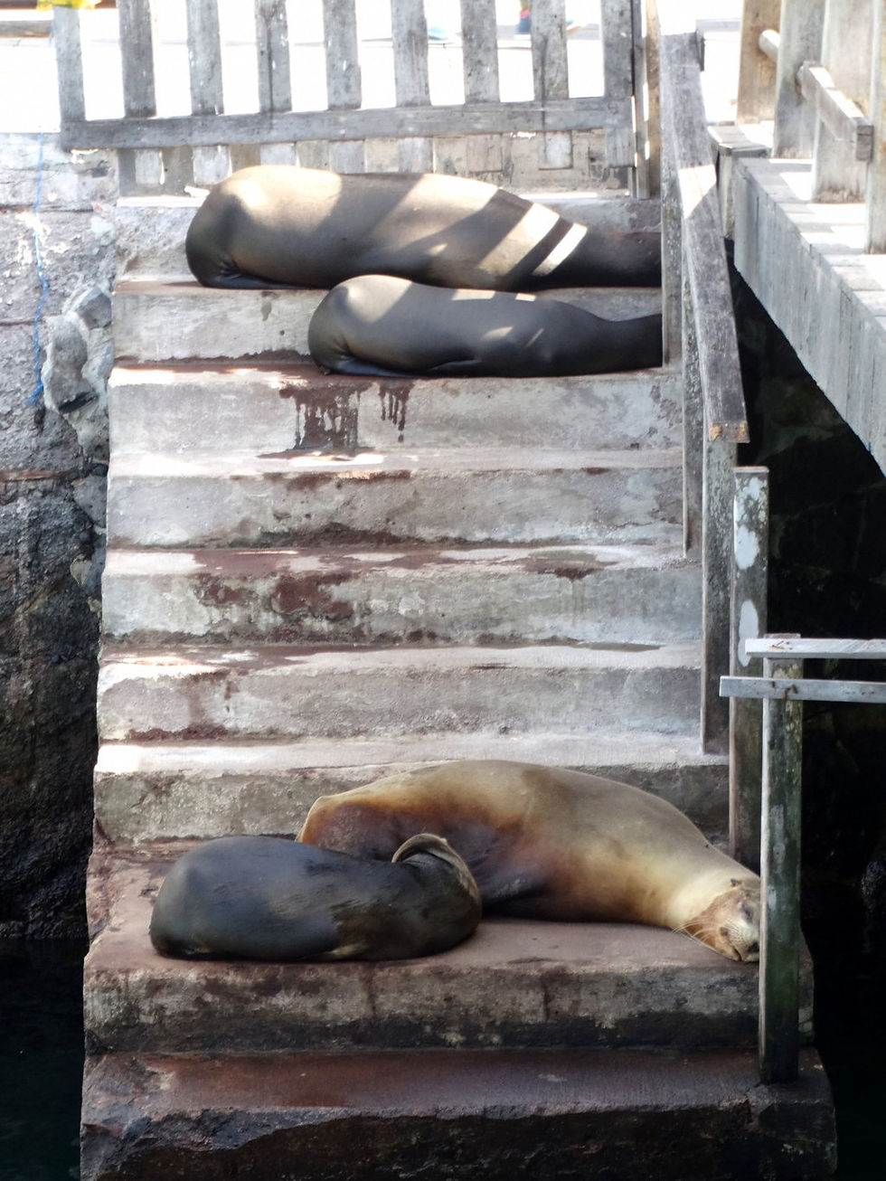 Ecuador - Galapagos
