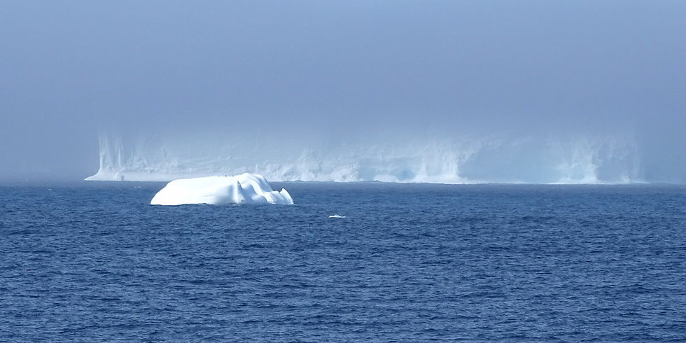 Antarctica - South Orkney islands