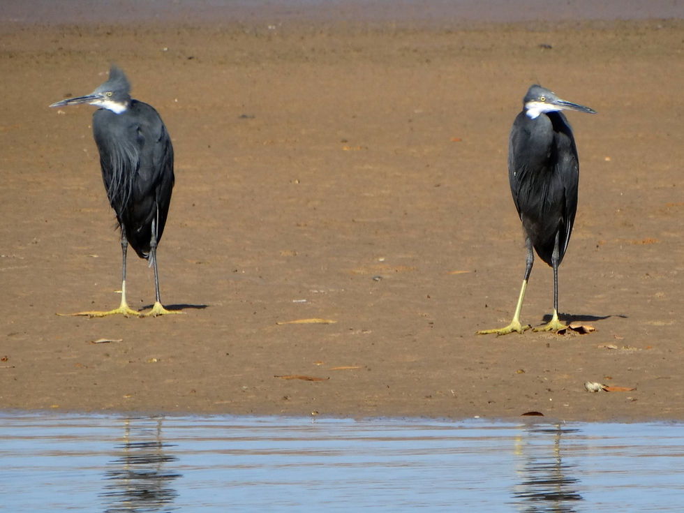 Senegal - Sine-Saloum Delta