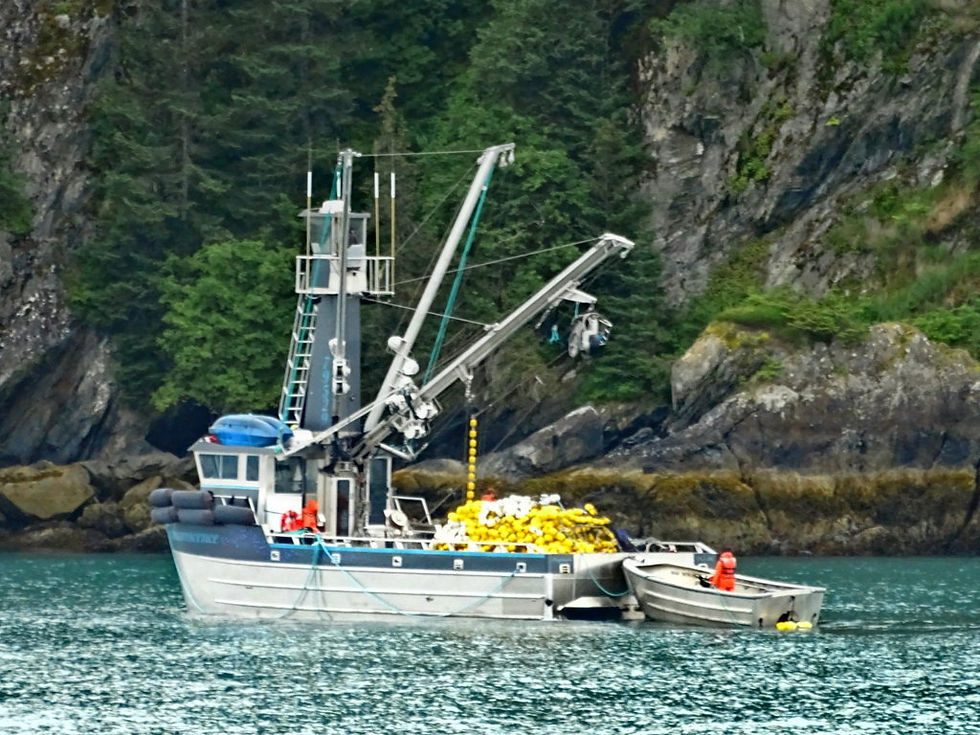 USA - Alaska - around Valdez