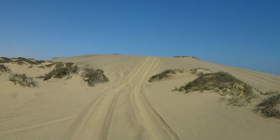Naukluft Park - Sandwich Bay