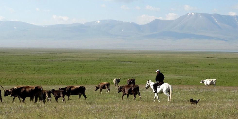 Kyrgyzstan - around Son Kul Lake