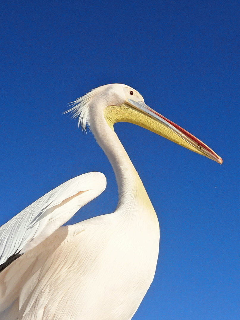 Namibia - Walvis bay