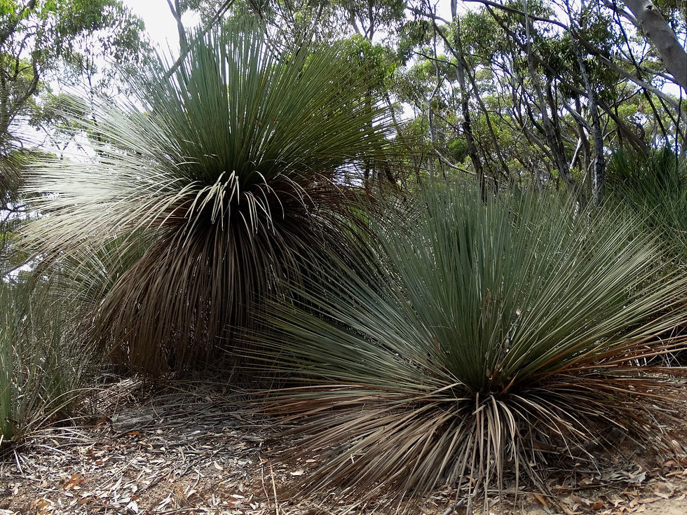 Australia - Kangaroo Island